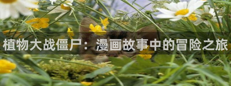 香蕉漫画软件