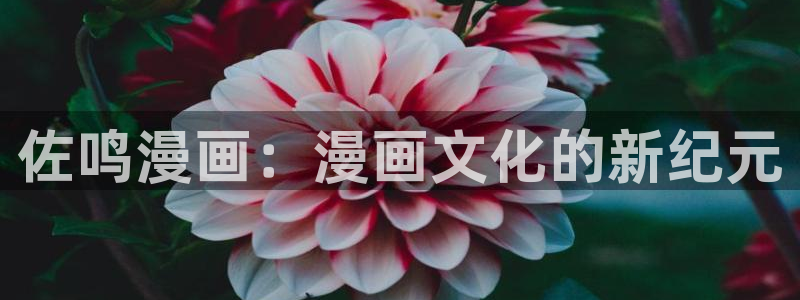 香蕉漫画破解
