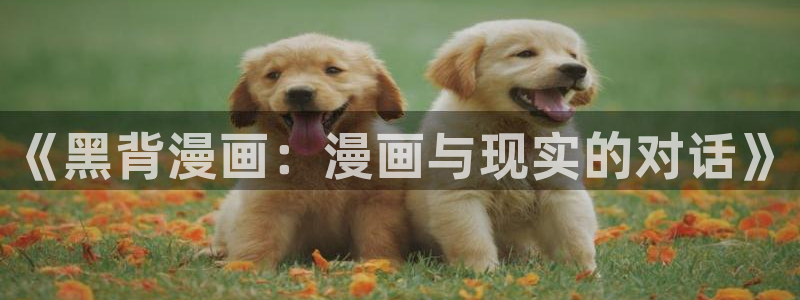 香蕉漫画动漫小说下拉式