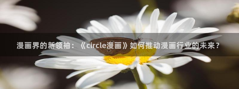 香蕉漫画在线观看免费
