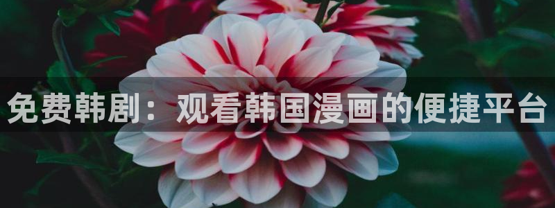 香蕉漫画在线观看页面